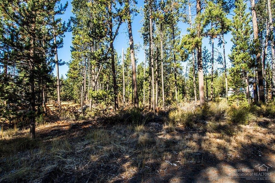 2nd image of 55787 Bivouac Road
