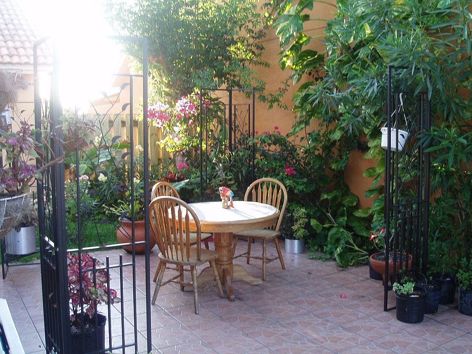 the backyard