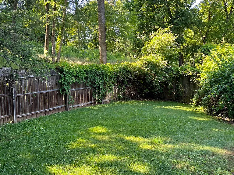 7 Robinwood Ave — Photo 29