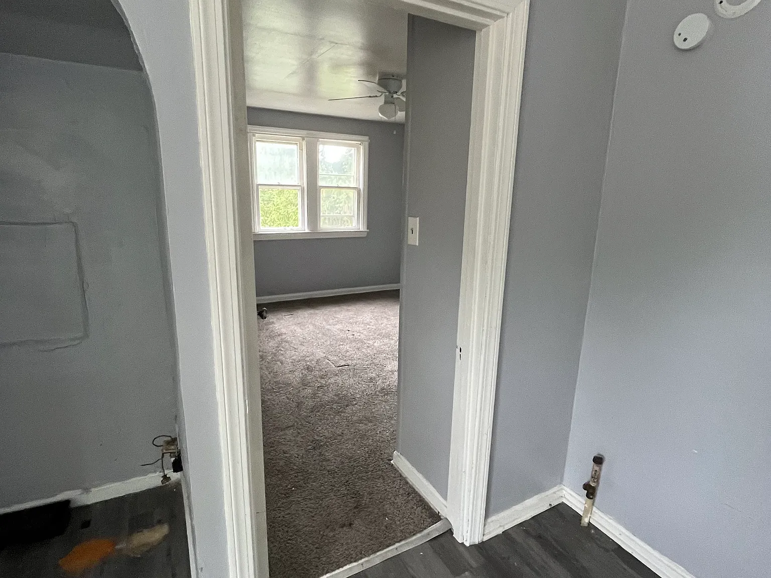 1 bed, 750 sqft, $800 — Photo 3