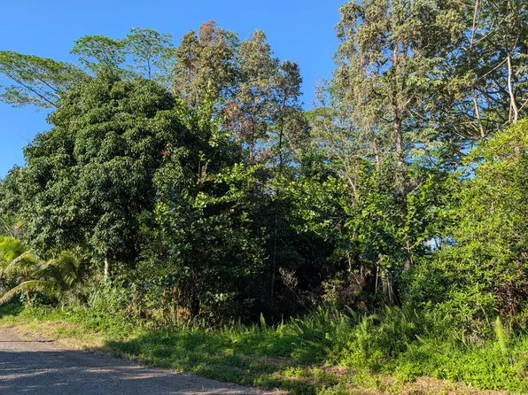 8th Ave Lot 1994, Keaau, HI 96749