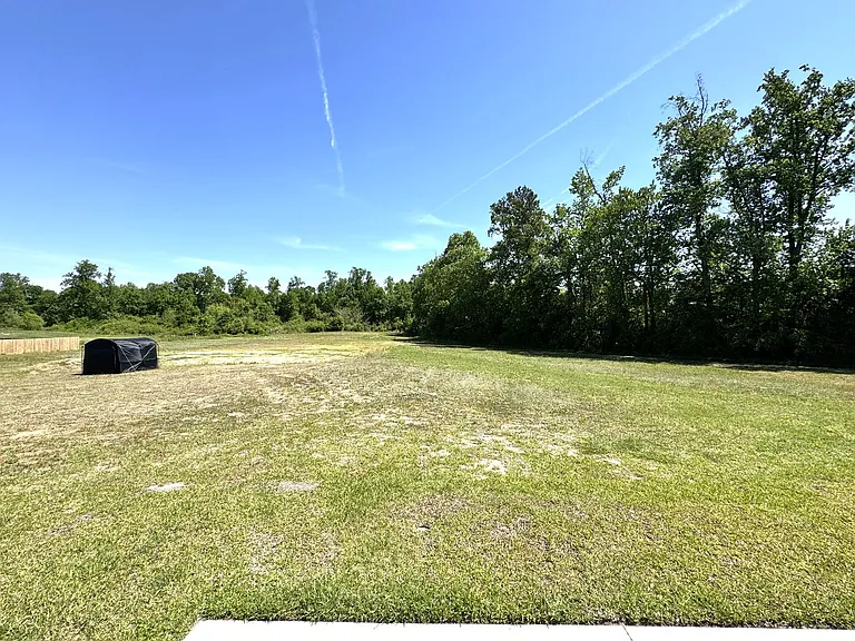 514 Isaac Branch Dr — Photo 32