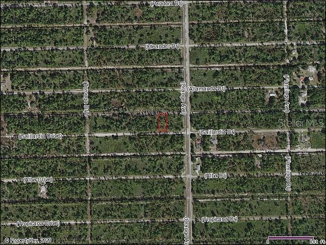 1st image of 806 Gaillardia Dr