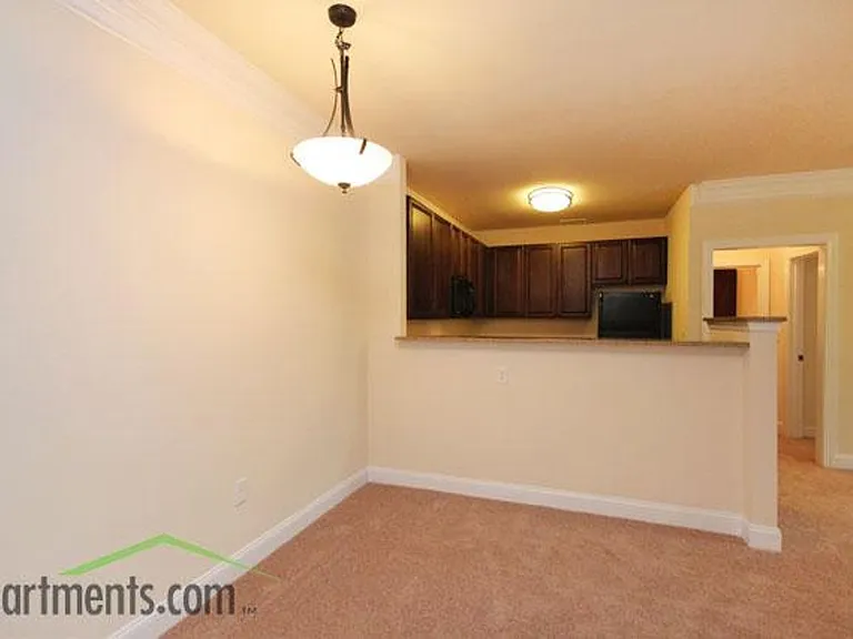 Briton Trace Apartments — Photo 38