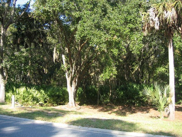 1st image of 9 Turkey Oak Ln