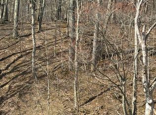 Tbd Forest Hills Dr, Pounding Mill, VA 24637