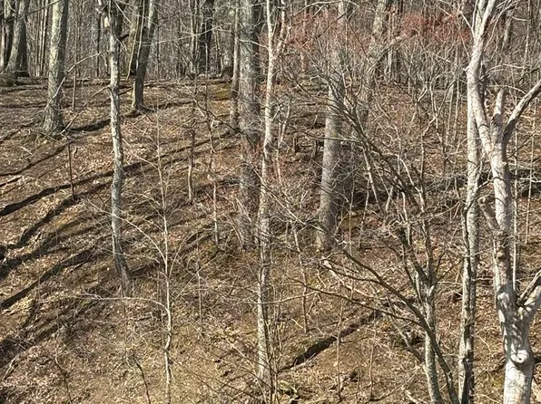 Tbd Forest Hills Dr, Pounding Mill, VA 24637