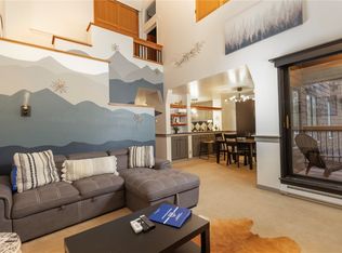 402 Wild Irishman Rd #1917, Montezuma, CO 80435