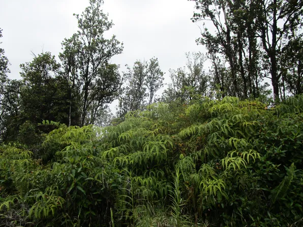 Ala Naulani Lot 43, Volcano, HI 96785