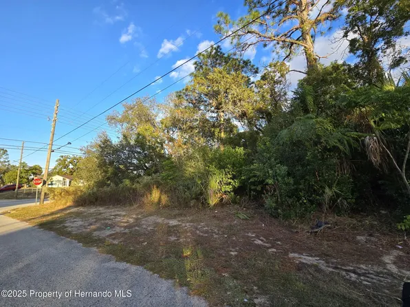 11290 Spring Hill Dr, Spring Hill, FL 34609