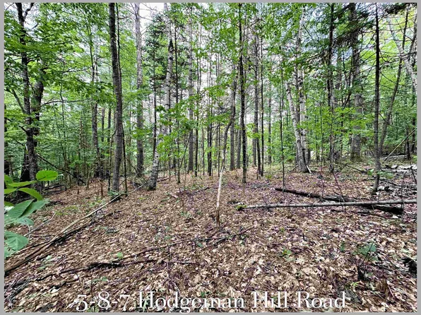 5-8-7 Hodgeman Hill, Campton, NH 03223