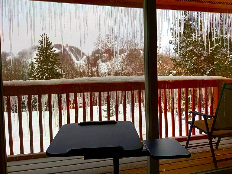 6368 Snowflake St #2 — Photo 6