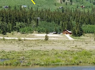 1111 Quartzville Rd, Alma, CO 80420