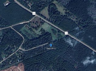 Davis Ave Lot 31, Livingston, TX 77351
