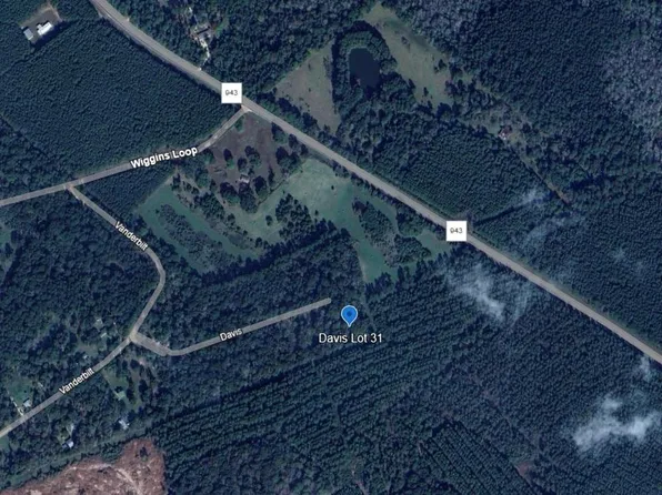 Davis Ave Lot 31, Livingston, TX 77351