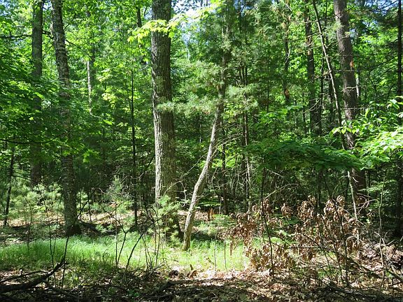 3rd image of ON DRURY LANE LOOP #2.5 Acres