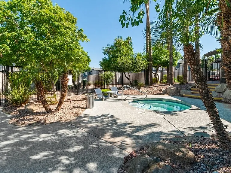 Palms at South Mountain — Photo 13