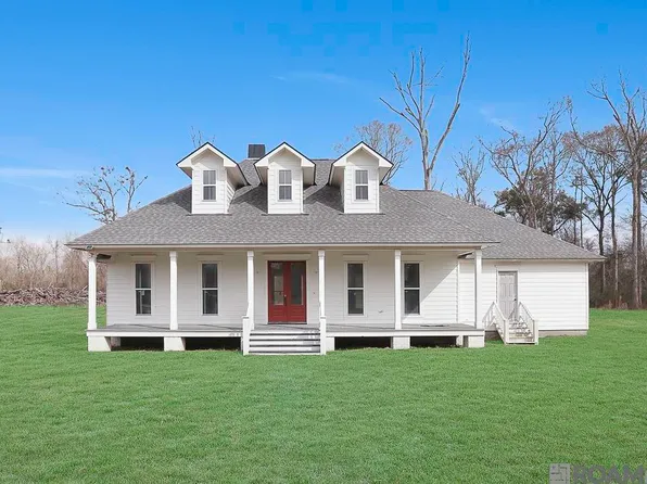 38384 N Robert Wilson Rd, Gonzales, LA 70737