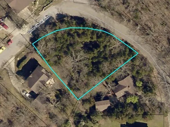 000 Rose Oneill Drive, Branson, MO 65616