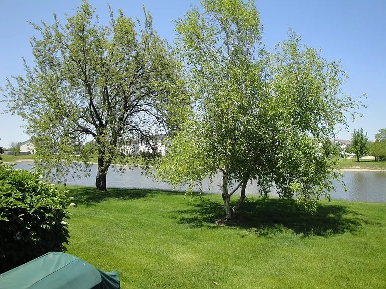 Stonewater Dr — Photo 17