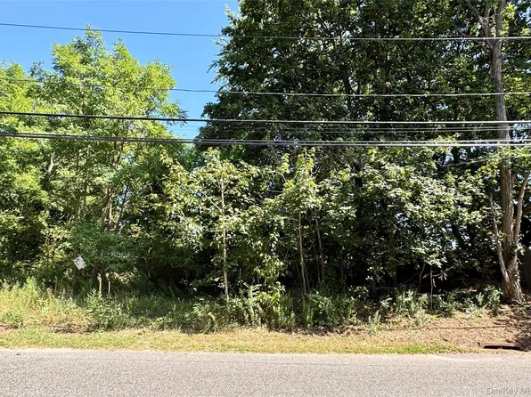 #189,#191 Mount Vernon Avenue, Medford, NY 11763