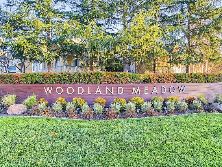 Woodland Meadow — Photo 41