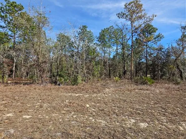 SW 87th Ave Lot 30, Ocala, FL 34473