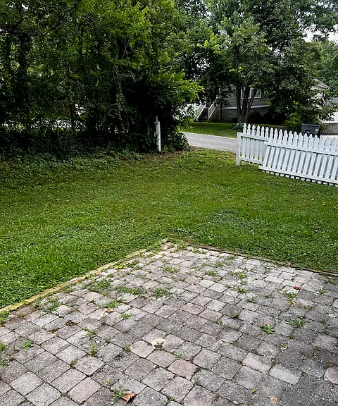 View from back door looking over patio