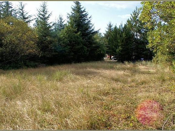 Cleared with driveway