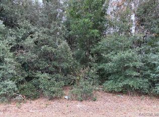 7989 N Galena Ave, Citrus Springs, FL 34434