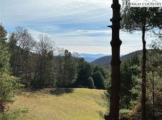 LOT 1 Wildcat Rd, Deep Gap, NC 28618
