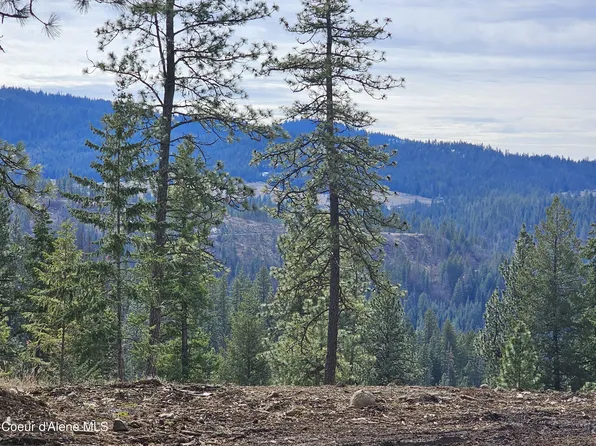 2252 E Badger Rd, Harrison, ID 83833