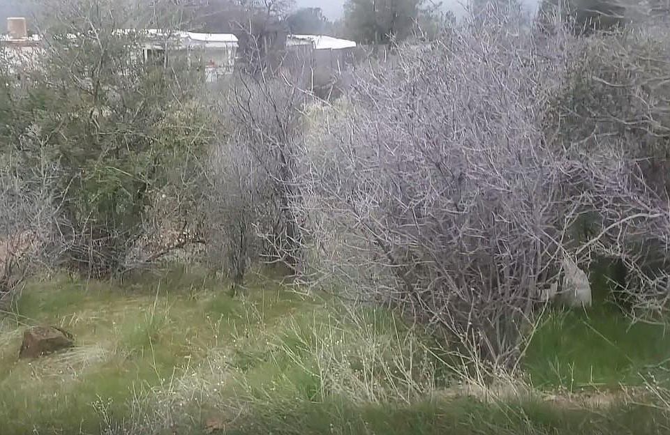 18917 Ruth Ln, Paynes Creek, CA 96075 Zillow