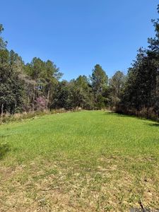 0 Lower Woodville Rd, Woodville, MS, 39669