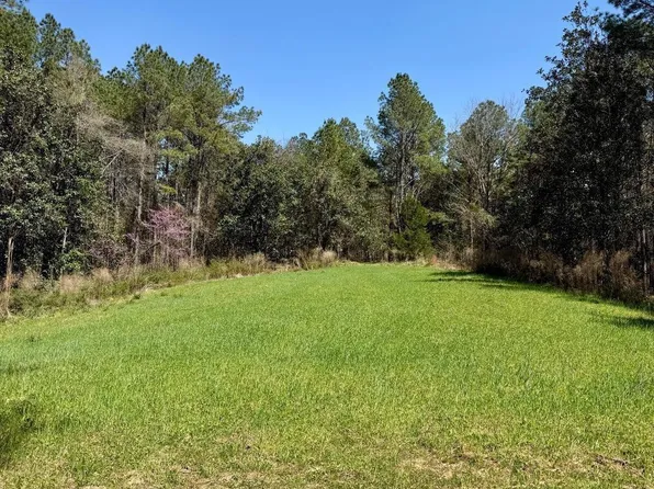 0 Lower Woodville Rd, Woodville, MS 39669