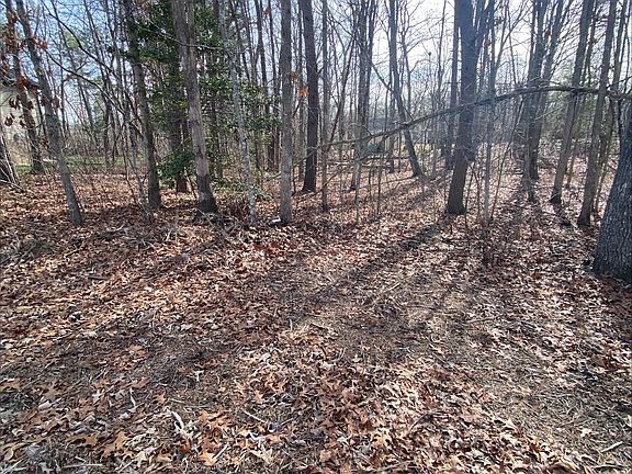 5th image of 231 Thrushwood Dr