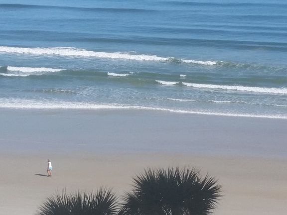 When your only "obstruction" is two Palm trees!