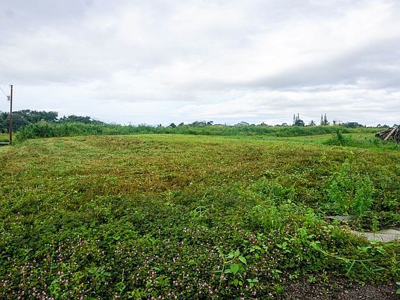 4th image of Kupu Pl Lot 25