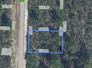 Ramiro St LOT 14, Lake Placid, FL 33852