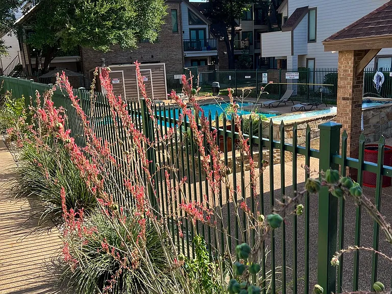 2309 Balsam Dr #K301 — Photo 14