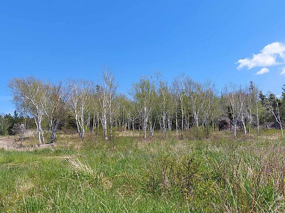 5th image of 7.3 Acre Hwy #4