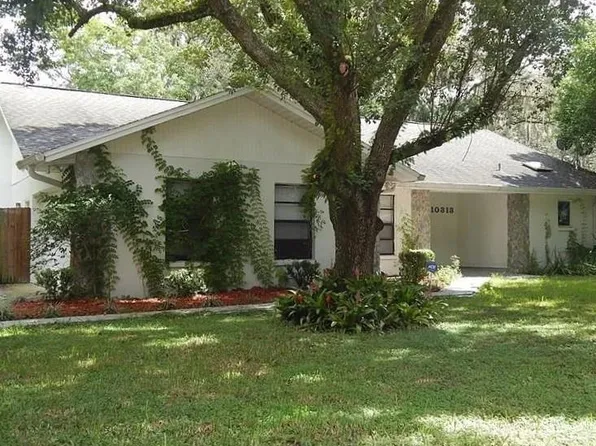 10313 N 53rd St, Temple Terrace, FL 33617