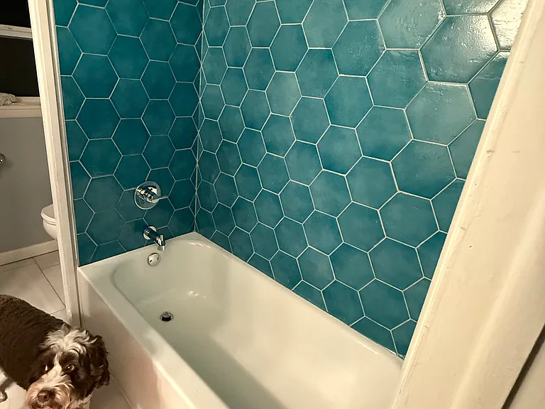309 S Gregg Ave — Photo 14