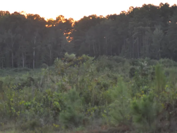 76 Highway 513, Rose Hill, MS 39356