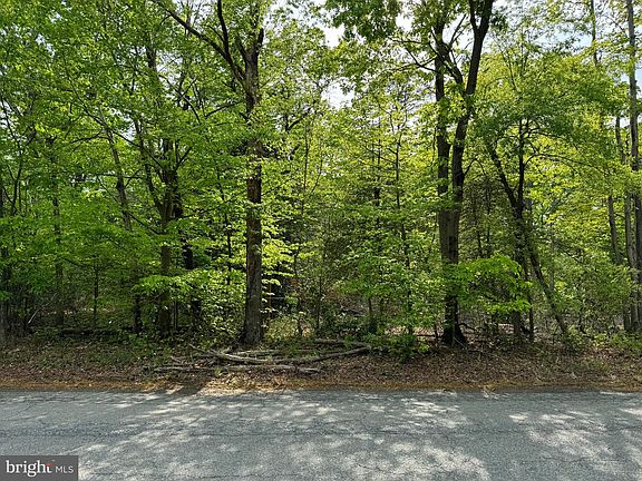 3rd image of Old Marshall Hall Rd
