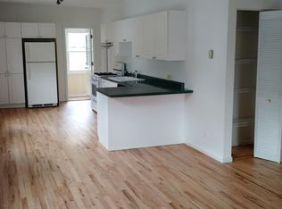 832 N Greenview Ave #2, Chicago, IL 60642