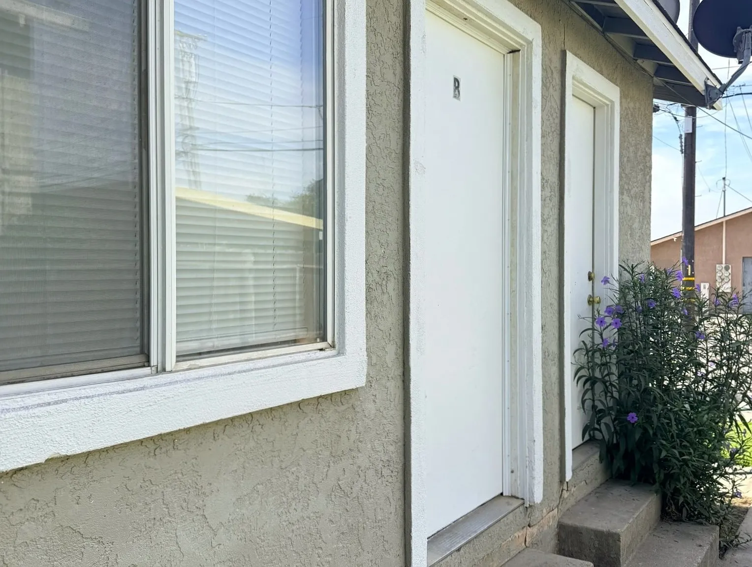 1 bed, $1,100 — Photo 3
