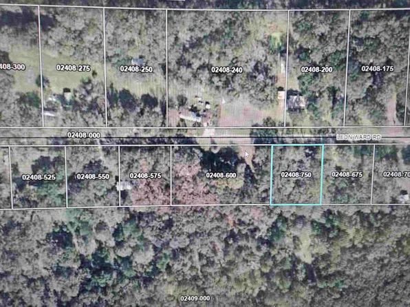 0 Leon Ward Rd, Perry, FL 32347