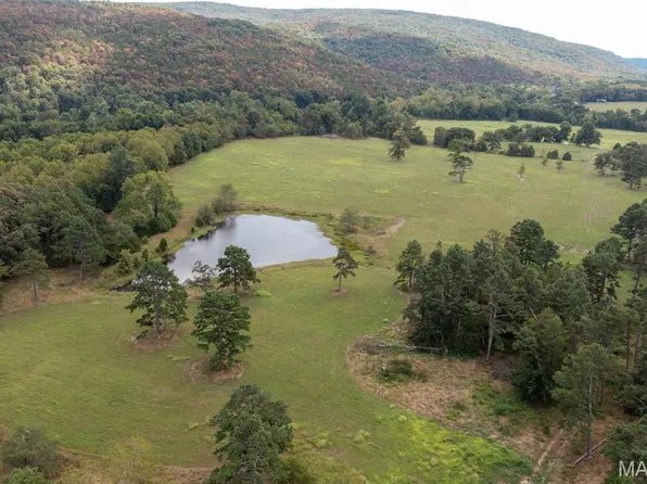 0 Off Hwy E, Fredericktown, MO 63645