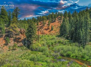 29545 State Highway 67, Woodland Park, CO 80863